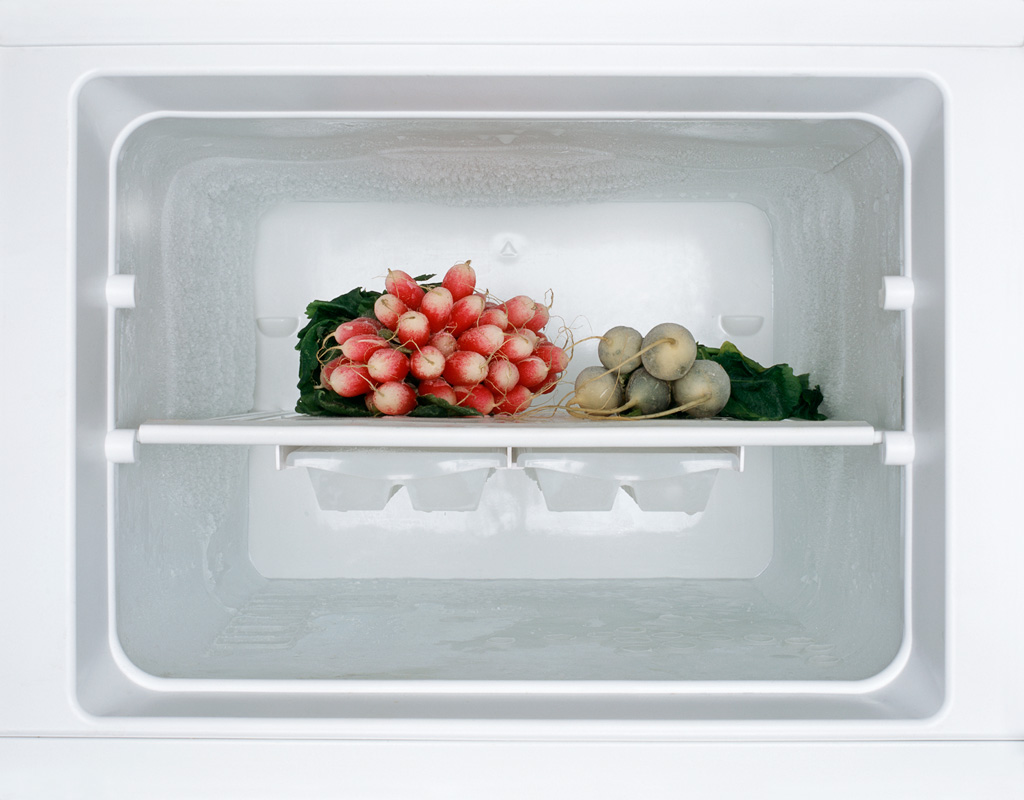 Freezer: 