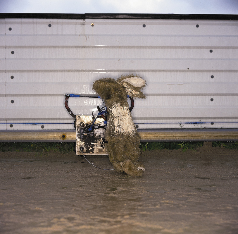 Rabbit: Exhibited at Browns, Thessaloniki Museum of Photography 