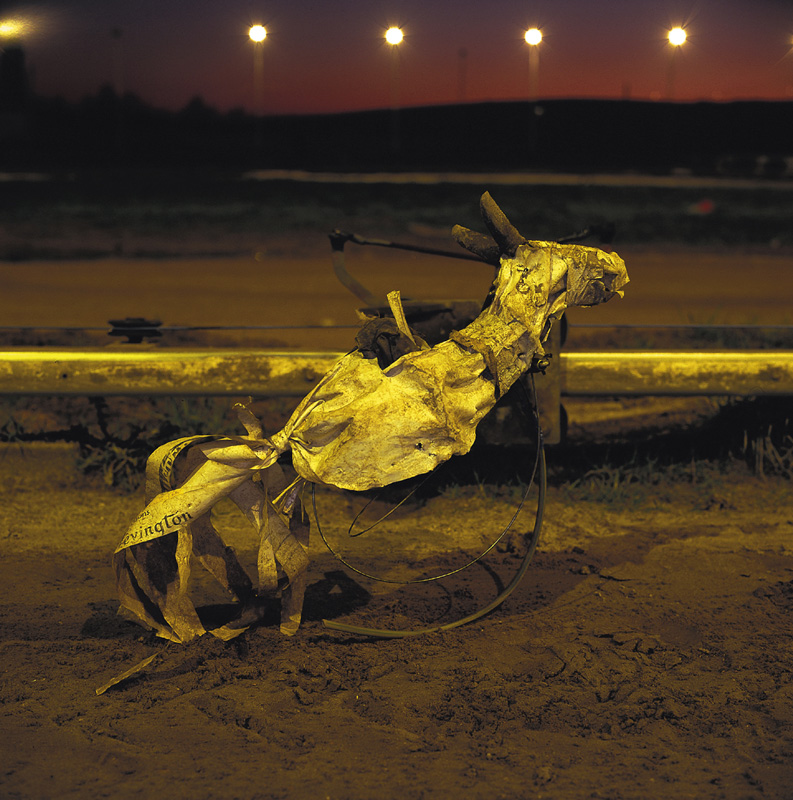 Rabbit: Exhibited at Browns, Thessaloniki Museum of Photography 